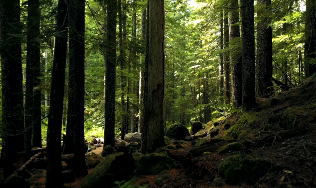 Smart for the planet, and for your business.